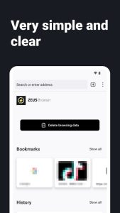 Screenshot Internet Web Browser – ZEUS Mod APK