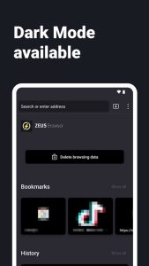 Screenshot Internet Web Browser – ZEUS Mod APK