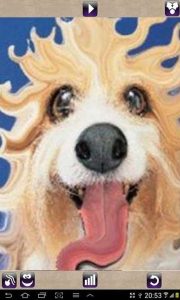 Screenshot Face Animator – Photo Deformer Mod APK