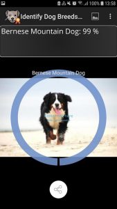 Screenshot Identify Dog Breeds Pro Mod APK