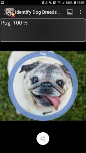 Screenshot Identify Dog Breeds Pro Mod APK