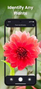 Screenshot PlantIn Plant Identifier Mod APK