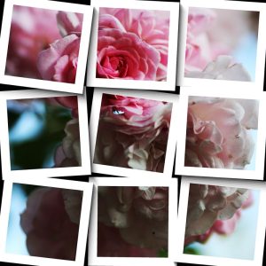 Screenshot Mosaic Art Lab Mod APK