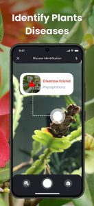 Screenshot PlantIn Plant Identifier Mod APK