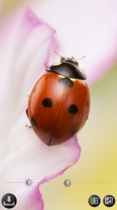 Screenshot Magnifier & Microscope Mod APK