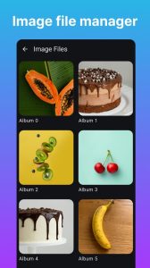 Screenshot Image Search Mod APK