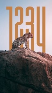 Screenshot Depth Wallpapers Mod APK