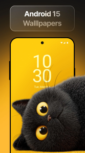 Screenshot Wallpics - Live Wallpapers 4K Mod APK