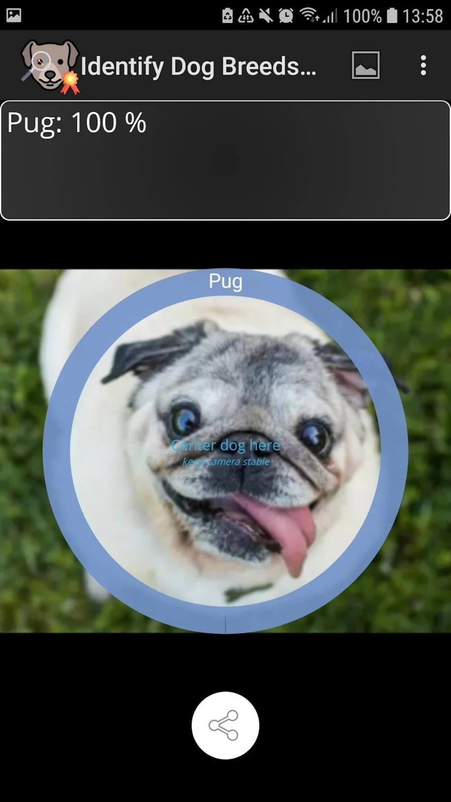 Screenshot 2 — Identify Dog Breeds Pro 28 MOD APK