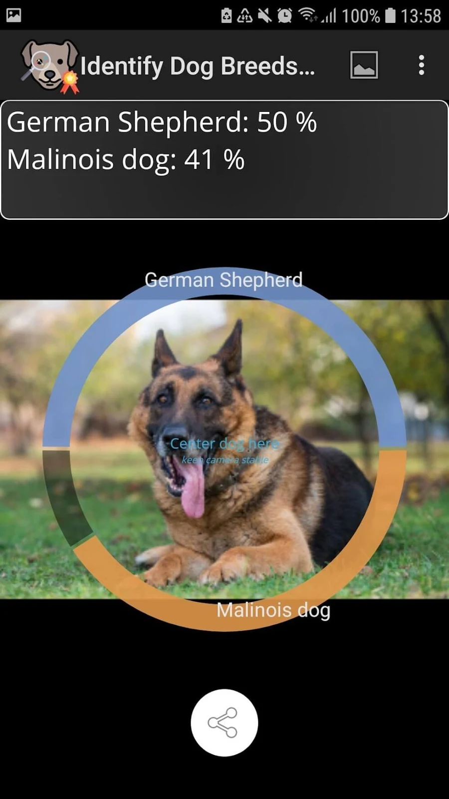 Screenshot 3 — Identify Dog Breeds Pro 28 MOD APK