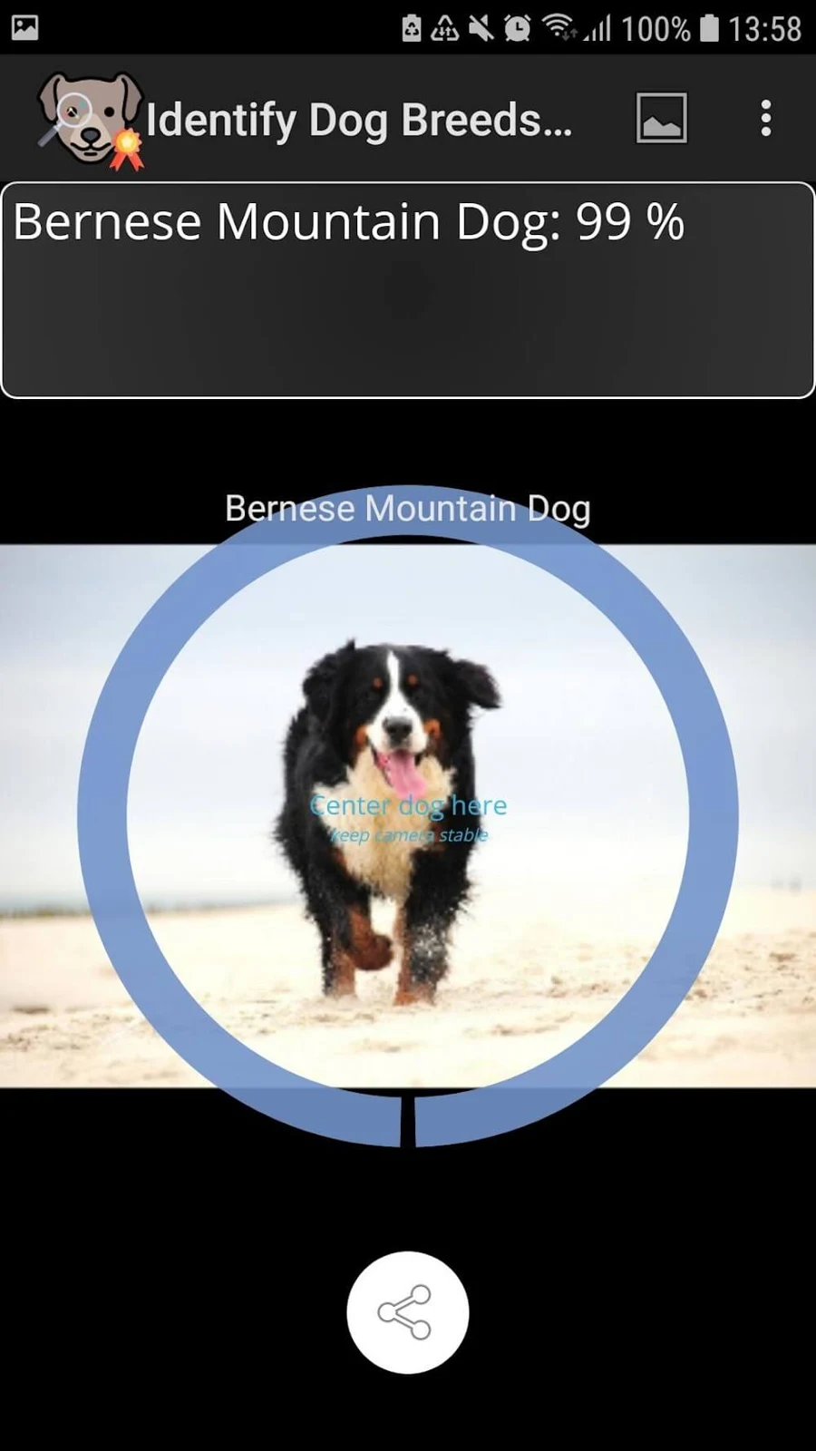 Screenshot 4 — Identify Dog Breeds Pro 28 MOD APK