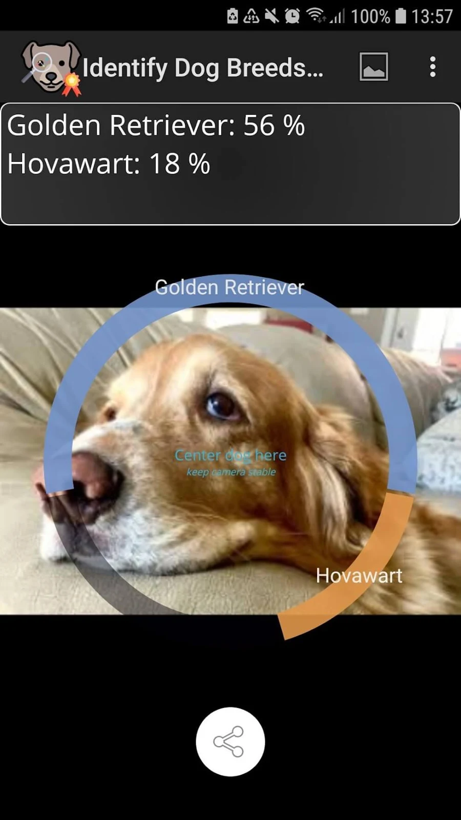 Screenshot 6 — Identify Dog Breeds Pro 28 MOD APK