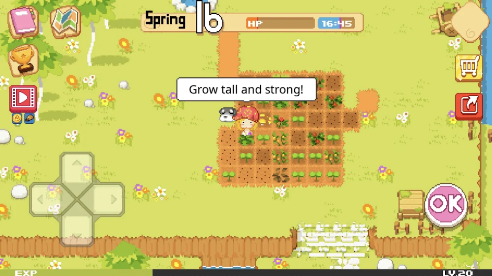 Ảnh chụp màn hình 2 — The Farm : Sassy Princess 1.2.0 MOD APK